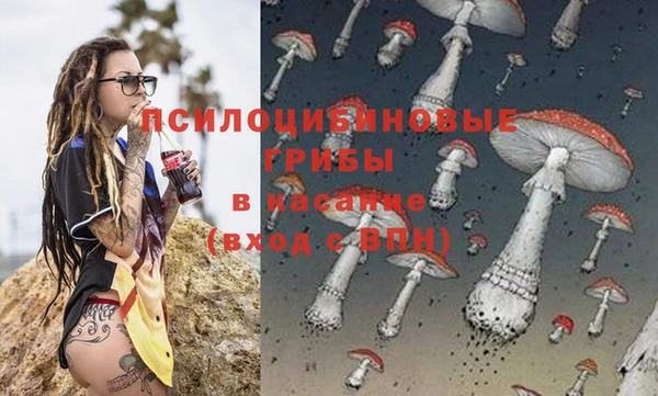 гидропоника Вяземский