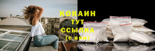гидропоника Вяземский