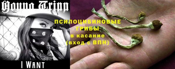 гидропоника Вяземский